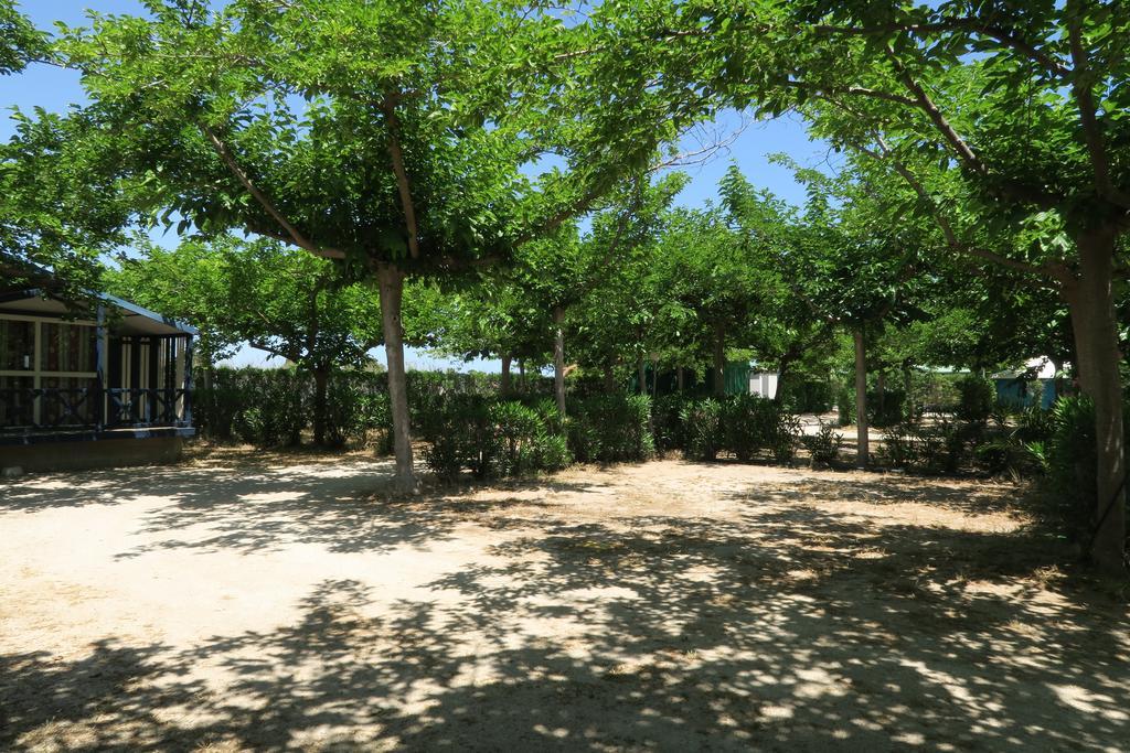Camping Azul Oliva Εξωτερικό φωτογραφία