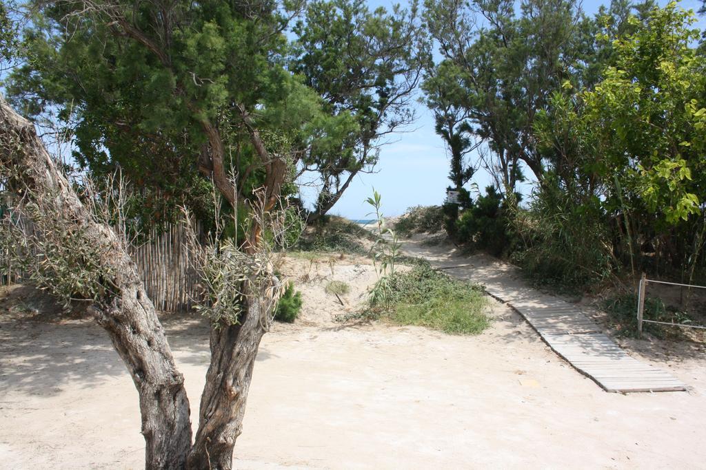 Camping Azul Oliva Εξωτερικό φωτογραφία